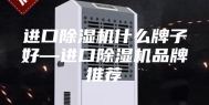 进口除湿机什么牌子好—进口除湿机品牌推荐