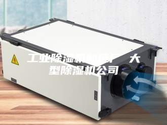 行业新闻工业除湿机制造厂 大型除湿机公司