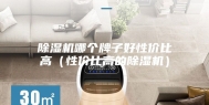 除湿机哪个牌子好性价比高（性价比高的除湿机）