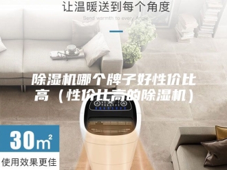 企业新闻除湿机哪个牌子好性价比高（性价比高的除湿机）