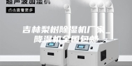 吉林梨树除湿机厂家_降湿机全国包邮