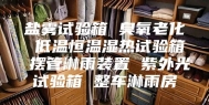 盐雾试验箱 臭氧老化 低温恒温湿热试验箱 摆管淋雨装置 紫外光试验箱 整车淋雨房