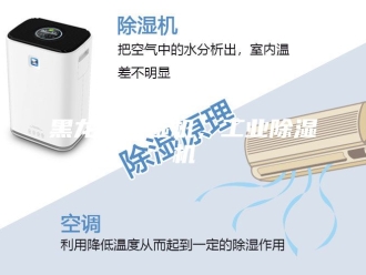 企业新闻黑龙江除湿机，工业除湿机