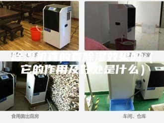企业新闻除湿机真的有除湿效果吗（它的作用及好处是什么）