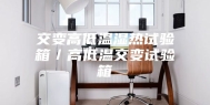 交变高低温湿热试验箱／高低温交变试验箱
