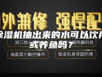 企业新闻除湿机抽出来的水可以饮用或养鱼吗？