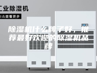 企业新闻除湿机什么牌子好，推荐最好欢迎的除湿机品牌