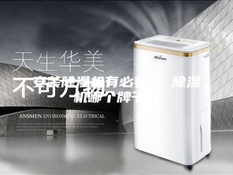 行业新闻安装除湿机有必要吗 除湿机哪个牌子好