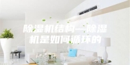 除湿机结构—除湿机是如何循环的