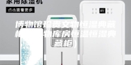 博物馆珍贵文物恒湿典藏柜（文物库房恒温恒湿典藏柜）