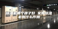 除湿机哪个牌子好 家用除湿机有什么作用