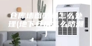 仓库墙面防潮怎么处理(地下仓房怎么防潮)