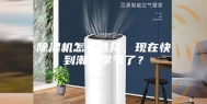 除湿机怎么选择，现在快到潮湿季节了？