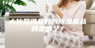 大伙觉得最好的除湿机品牌是哪个？
