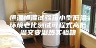 恒温恒湿试验箱小型低温环境老化测试可程式高低温交变湿热实验箱