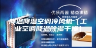 降温降湿空调冷风机（工业空调降温除湿干燥）