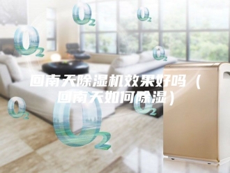 行业新闻回南天除湿机效果好吗（回南天如何除湿）