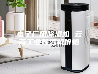 行业新闻电子厂用除湿机 云南工业除湿机价格