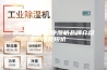 伊宁市地下室除湿机品牌介绍以及报价
