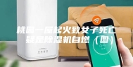 桃园一屋起火致女子死亡 疑是除湿机自燃（图）