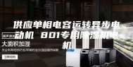 供应单相电容运转异步电动机 801专用除湿机电机