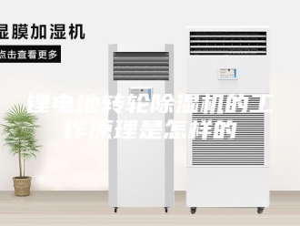 企业新闻锂电池转轮除湿机的工作原理是怎样的