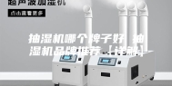 抽湿机哪个牌子好 抽湿机品牌推荐【详解】