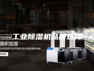 行业新闻工业除湿机品牌选择