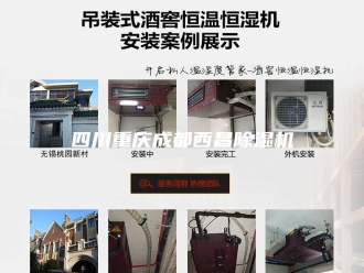 行业新闻四川重庆成都西昌除湿机