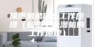 除湿机是什么工作原理（知道了除湿机的工作原理）