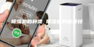 除湿机的种类 除湿机的保养技巧