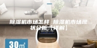 除湿机市场怎样 除湿机市场现状分析【详解】