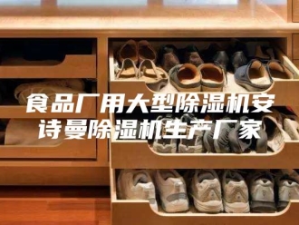 企业新闻食品厂用大型除湿机安诗曼除湿机生产厂家