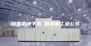 除湿机地下室 除湿机工业公司