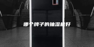 哪个牌子的抽湿机好