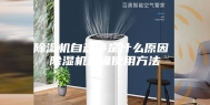 除湿机自动停是什么原因 除湿机正确使用方法