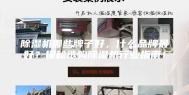 除湿机哪些牌子好，什么品牌最好？探秘选购除湿机行业指南！