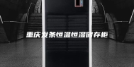 重庆发条恒温恒湿储存柜