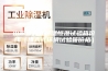 山东步入式恒温恒湿试验箱价钱（步入式环境试验箱价格）