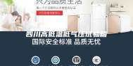 四川高低温低气压试验箱