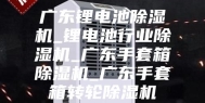 广东锂电池除湿机_锂电池行业除湿机_广东手套箱除湿机_广东手套箱转轮除湿机