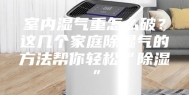 室内湿气重怎么破？这几个家庭除湿气的方法帮你轻松“除湿”