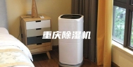 重庆除湿机