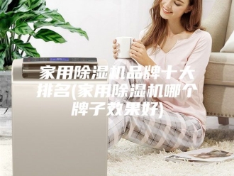 行业新闻家用除湿机品牌十大排名(家用除湿机哪个牌子效果好)
