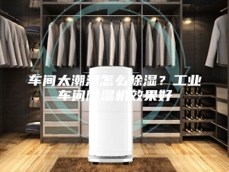 企业新闻车间太潮湿怎么除湿？工业车间除湿机效果好