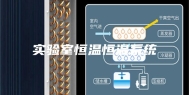实验室恒温恒湿系统