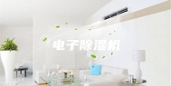 电子除湿机
