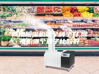 行业新闻商用除湿机哪个牌子好,除湿机哪个牌子比较好