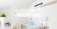 荆州除湿机