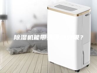 企业新闻除湿机能带来哪些效果？